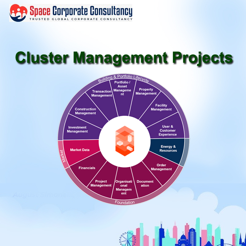 CLUSTER MANAGEMENT PROJECTS